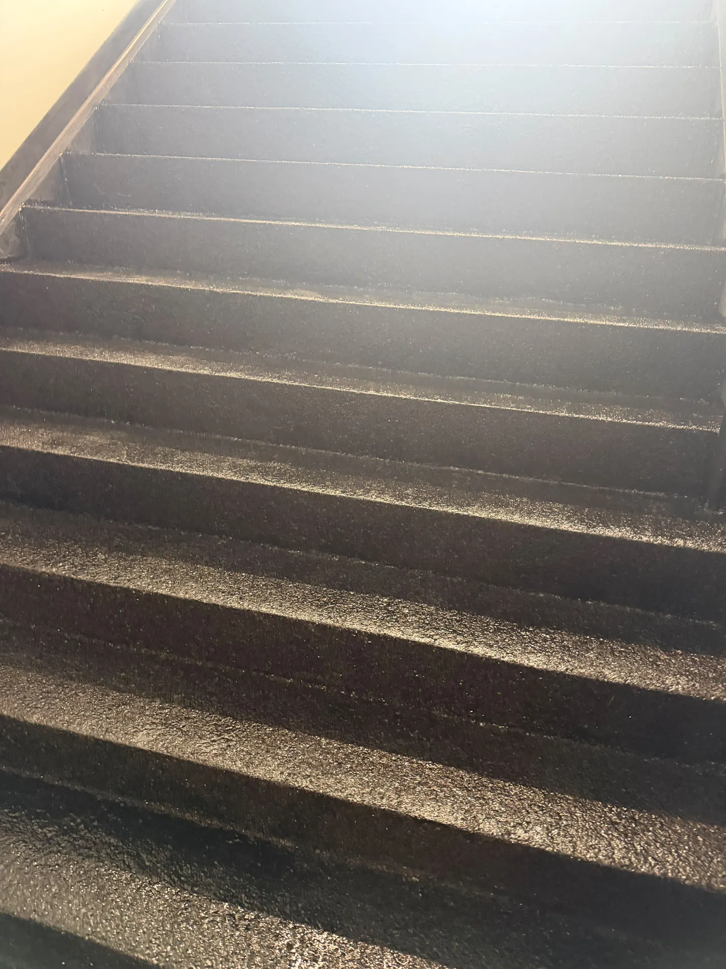 Flake epoxy coated stair treads, by Westside Mogul Resin in Calgary