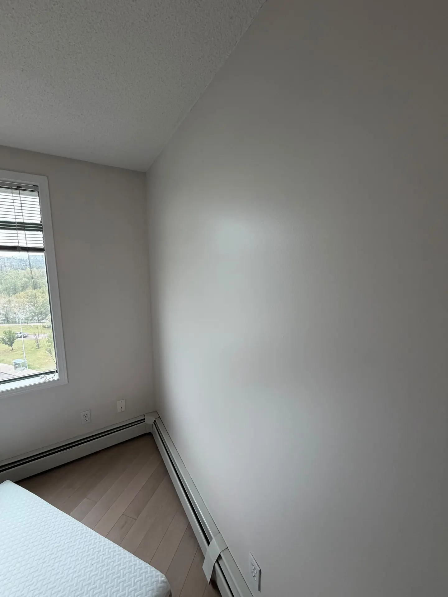 Freshly painted interior walls and trim, interior painting by Westside Mogul in Calgary